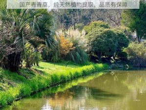 国产青青草，纯天然植物提取，品质有保障