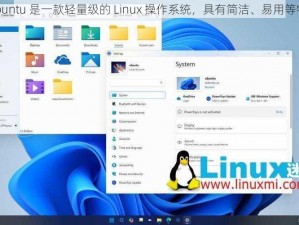 Lubuntu 是一款轻量级的 Linux 操作系统，具有简洁、易用等特点