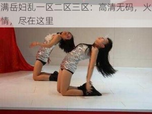 丰满岳妇乱一区二区三区：高清无码，火辣激情，尽在这里