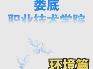 以大明龙权为核心的职业选择与深度解析：探索一两个热门职业的魅力