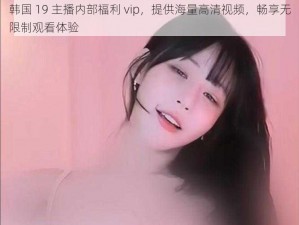 韩国 19 主播内部福利 vip，提供海量高清视频，畅享无限制观看体验