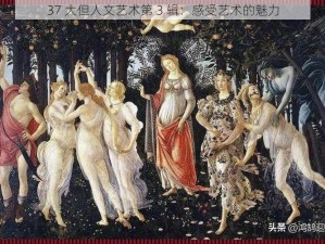 37 大但人文艺术第 3 辑：感受艺术的魅力