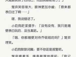 学长被 C 哭爬走又被拉回来视频：一款引人入胜的视频产品