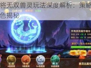 三国将无双兽灵玩法深度解析：策略技巧与特色揭秘