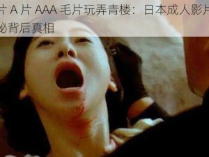 女婬片 A 片 AAA 毛片玩弄青楼：日本成人影片女演员揭秘背后真相