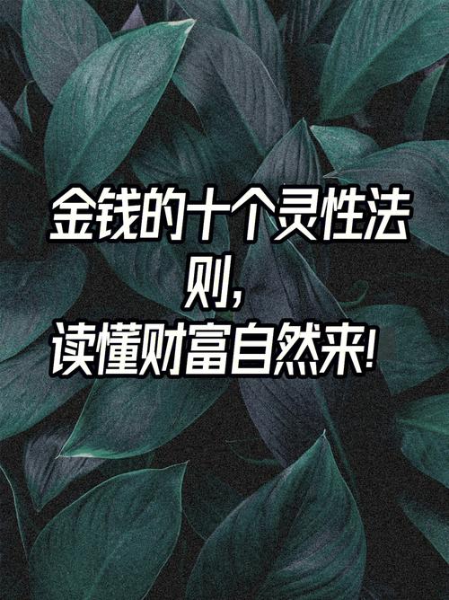 天天富翁教授深度解析：多元化能力与长期财富增长之道