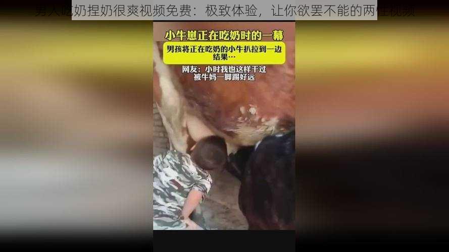 男人吃奶捏奶很爽视频免费：极致体验，让你欲罢不能的两性视频