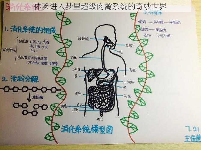 体验进入梦里超级肉禽系统的奇妙世界