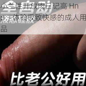 小兰性开放肉日记高 Hnp：体验极致快感的成人用品