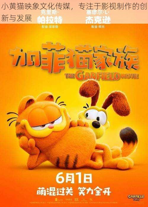 小黄猫映象文化传媒，专注于影视制作的创新与发展