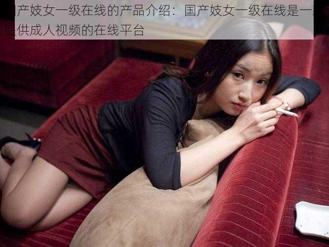 国产妓女一级在线的产品介绍：国产妓女一级在线是一款提供成人视频的在线平台