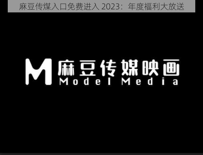 麻豆传煤入口免费进入 2023：年度福利大放送