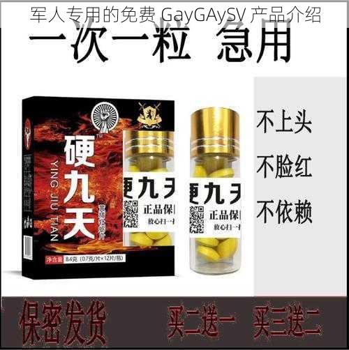 军人专用的免费 GayGAySV 产品介绍