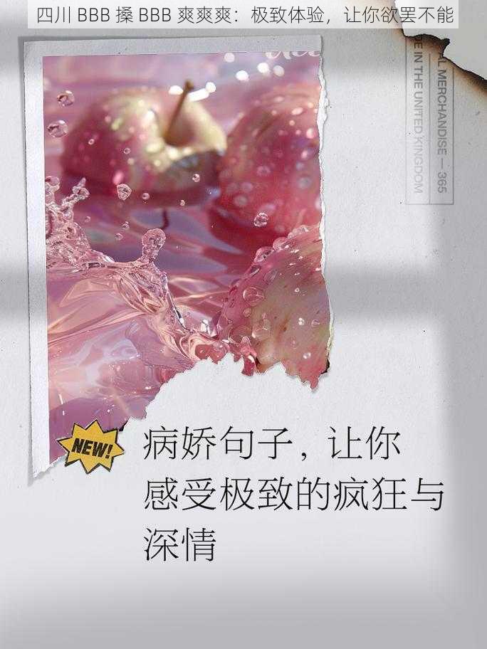 四川 BBB 搡 BBB 爽爽爽：极致体验，让你欲罢不能