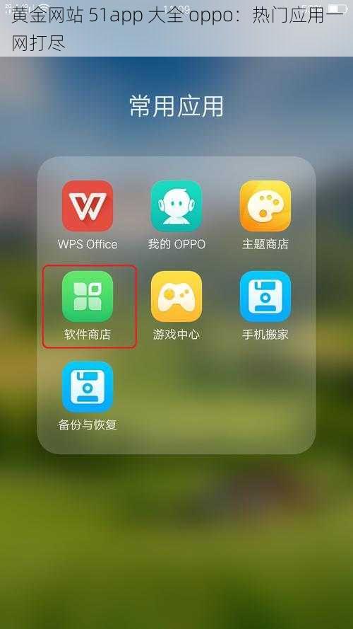 黄金网站 51app 大全 oppo：热门应用一网打尽