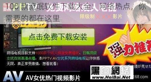 100 款流氓软件下载大全：网络热点，你需要的都在这里