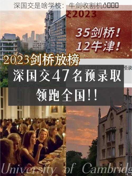 深国交是啥学校：牛剑收割机😎