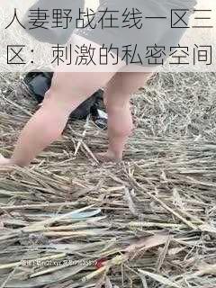 人妻野战在线一区三区：刺激的私密空间