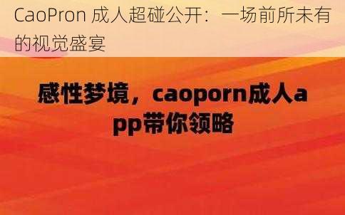 CaoPron 成人超碰公开：一场前所未有的视觉盛宴