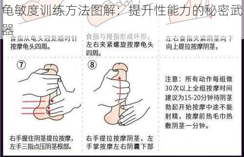 龟敏度训练方法图解：提升性能力的秘密武器