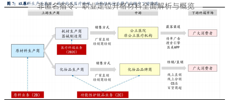 非匿名指令：职业定位升格材料全面解析与概览