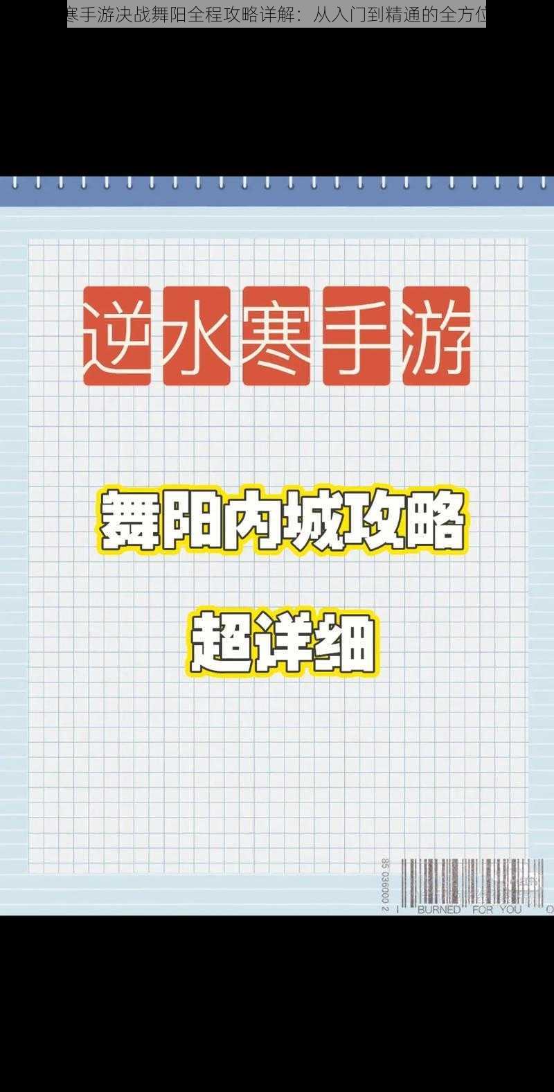 逆水寒手游决战舞阳全程攻略详解：从入门到精通的全方位指南