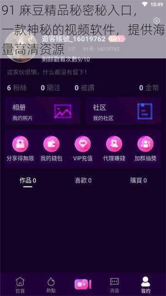 91 麻豆精品秘密秘入口，一款神秘的视频软件，提供海量高清资源