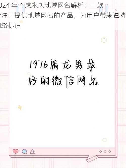 2024 年 4 虎永久地域网名解析：一款专注于提供地域网名的产品，为用户带来独特的网络标识