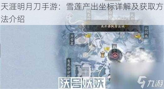 天涯明月刀手游：雪莲产出坐标详解及获取方法介绍